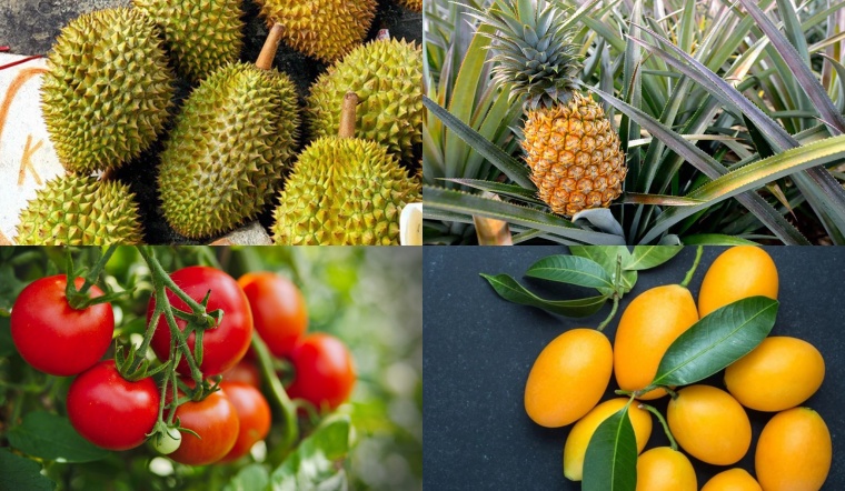 Những loại trái cây không nên dùng để cúng
