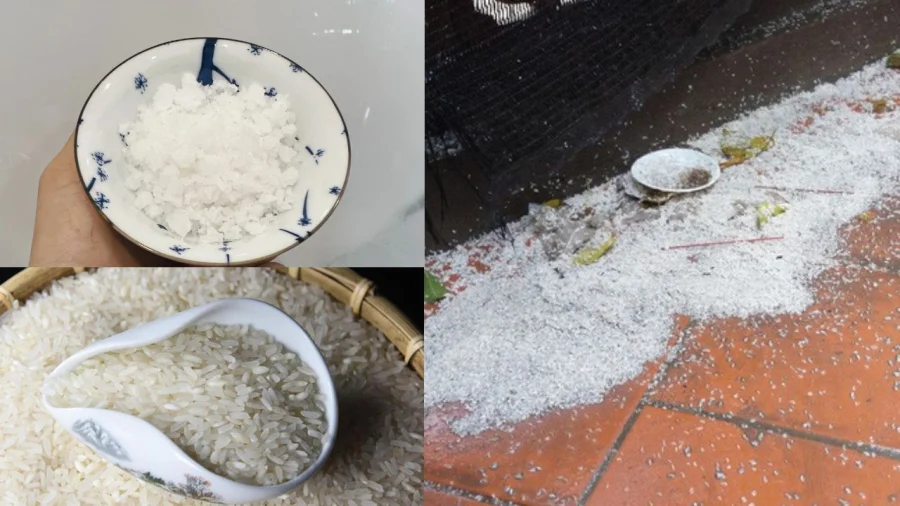 Muối gạo sau khi cúng xong nên làm gì